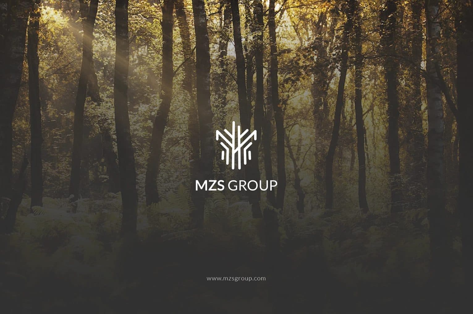 MZS Group — Wood Company Identity (Africa) — Branding & Identity